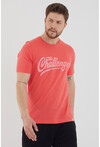 Unisex Slim Fit Baskılı Bisiklet Yaka T-Shirt