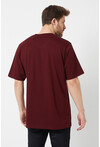 Basic Erkek Bisiklet Yaka Regular Kalıp Kısa Kollu T-Shirt