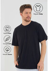 Basic Erkek Bisiklet Yaka Regular Kalıp Kısa Kollu T-Shirt
