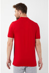 Erkek Polo Yaka Üç Renk Slim Fit T-Shirt