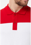 Erkek Polo Yaka Üç Renk Slim Fit T-Shirt