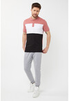 Erkek Polo Yaka Üç Renk Slim Fit T-Shirt