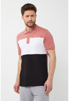 Erkek Polo Yaka Üç Renk Slim Fit T-Shirt