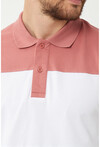Erkek Polo Yaka Üç Renk Slim Fit T-Shirt