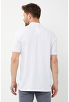 Erkek Polo Yaka Üç Renk Slim Fit T-Shirt
